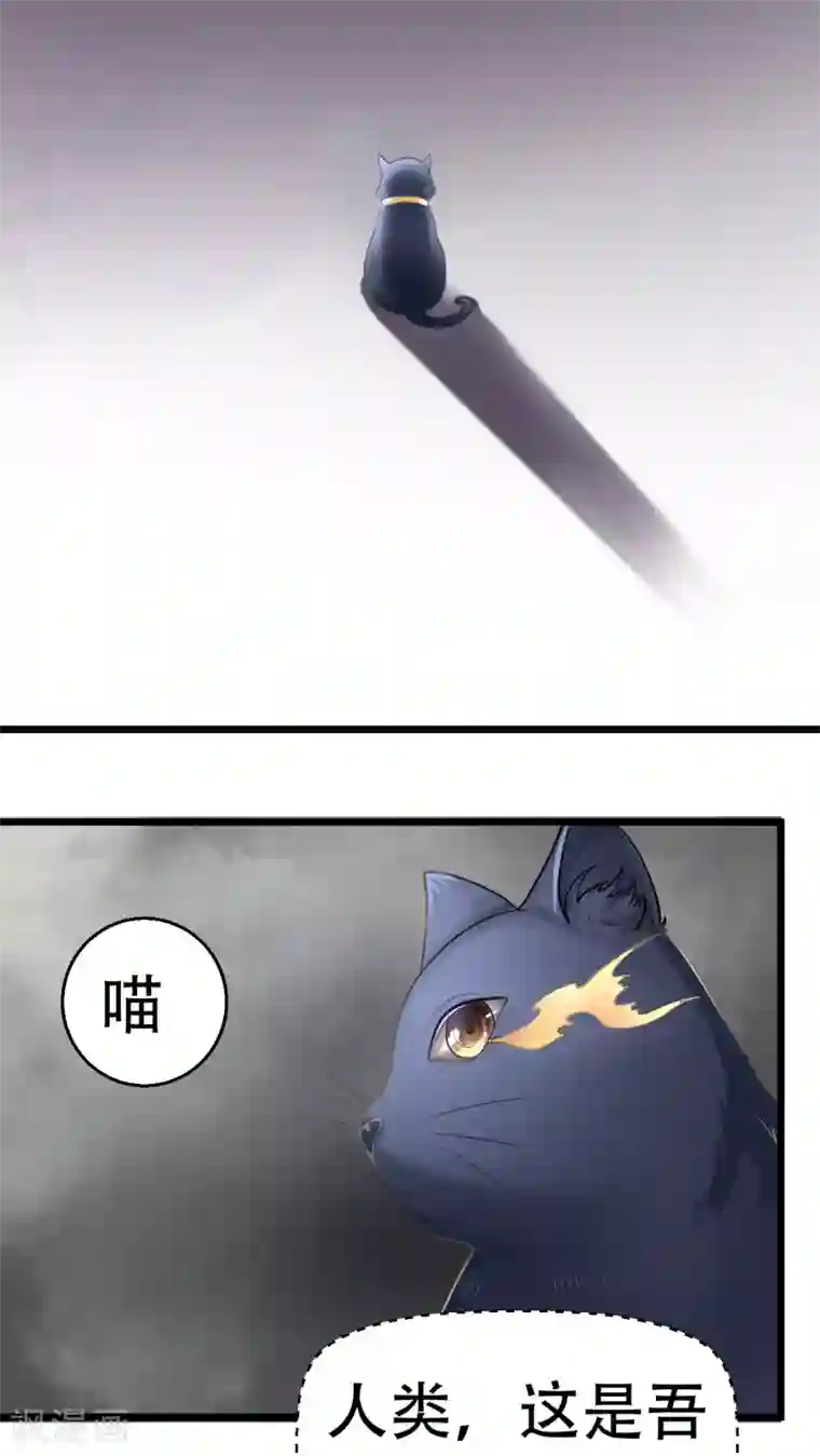 铲屎官也要谈恋爱前言