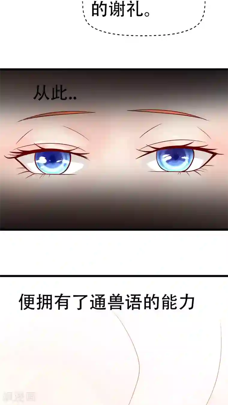 铲屎官也要谈恋爱前言