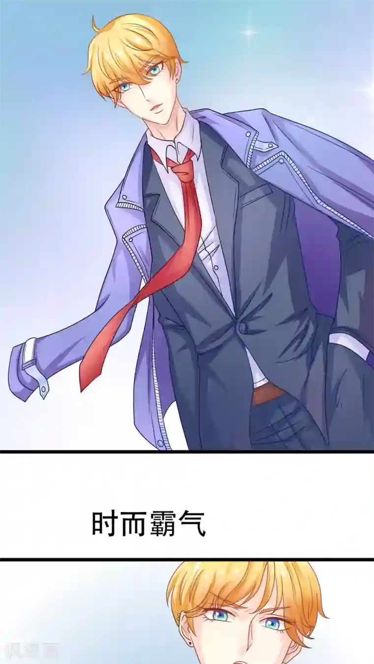 铲屎官也要谈恋爱前言