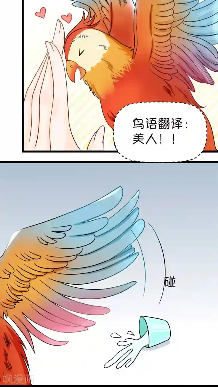 铲屎官也要谈恋爱第1话