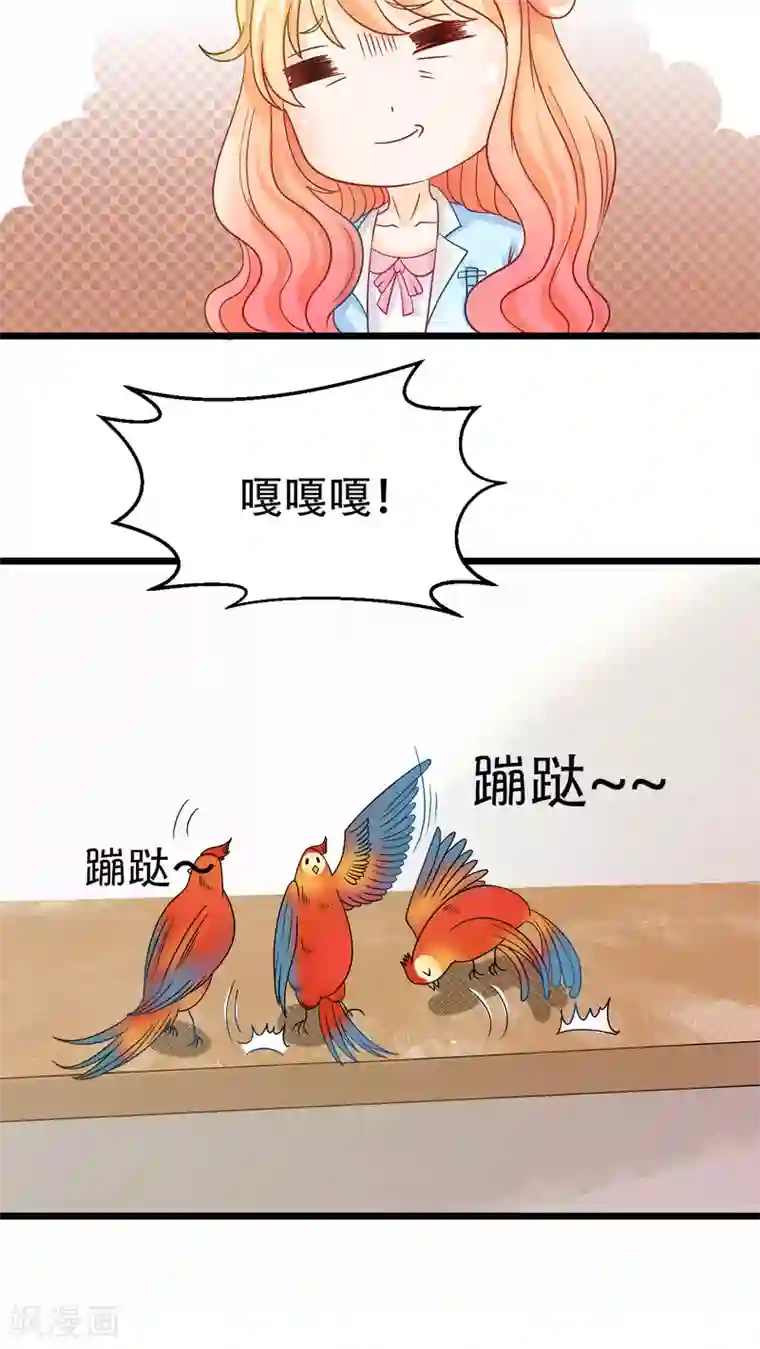 铲屎官也要谈恋爱第1话