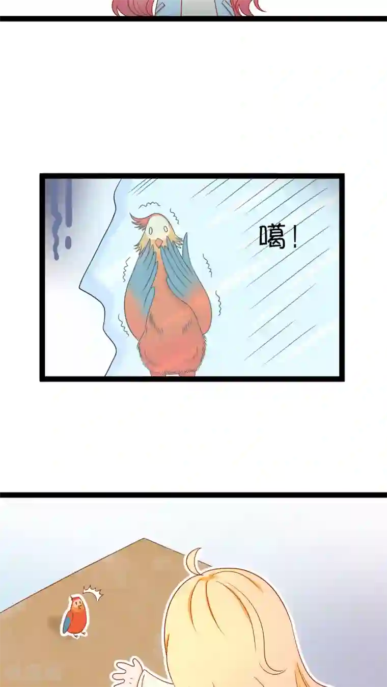 铲屎官也要谈恋爱第1话