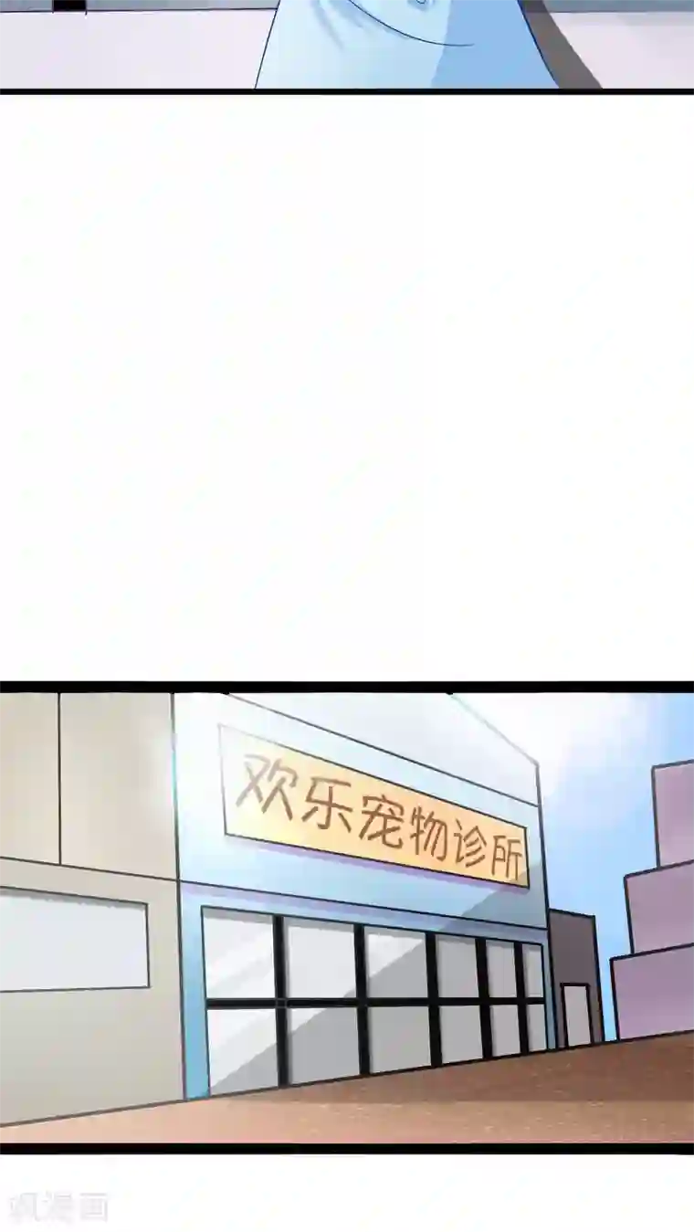 铲屎官也要谈恋爱第1话