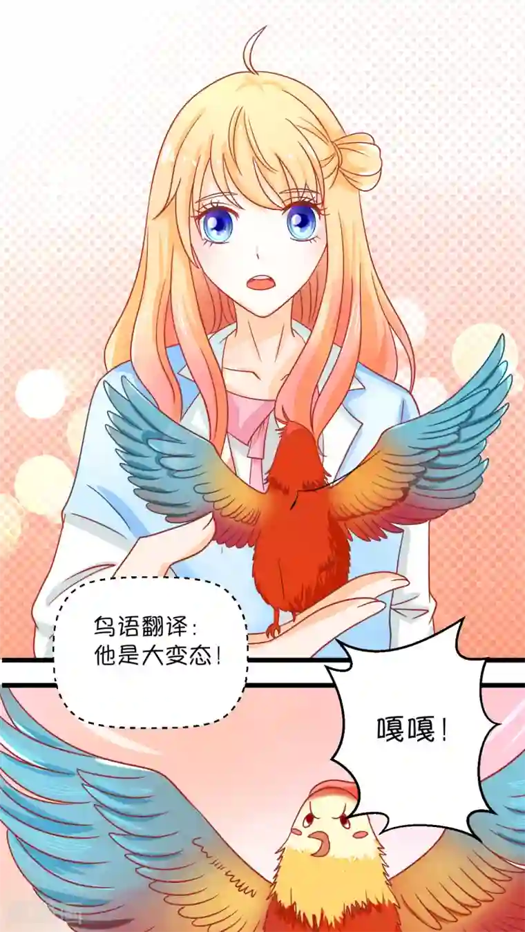 铲屎官也要谈恋爱第1话