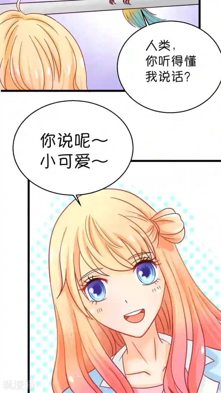 铲屎官也要谈恋爱第1话