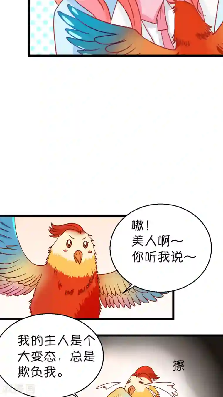 铲屎官也要谈恋爱第1话