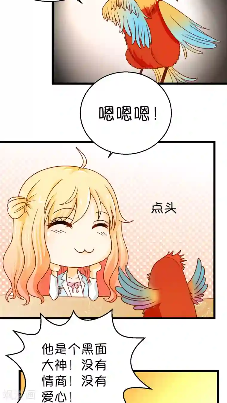 铲屎官也要谈恋爱第1话