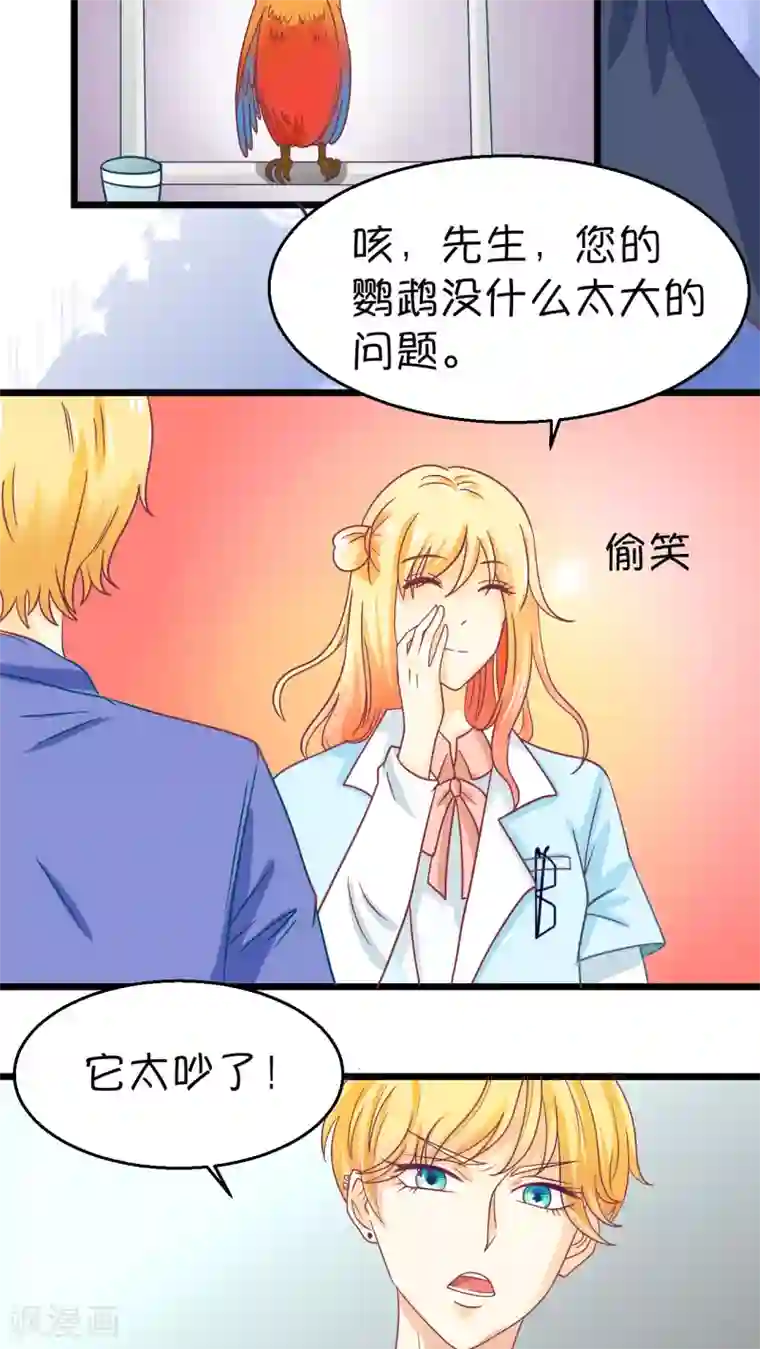 铲屎官也要谈恋爱第1话