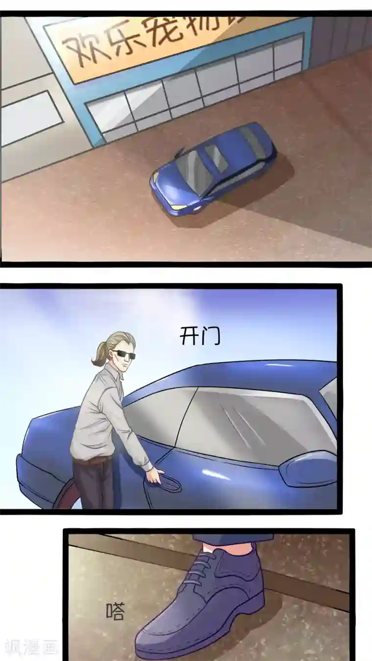 铲屎官也要谈恋爱第1话