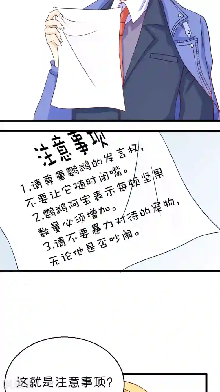 铲屎官也要谈恋爱第1话