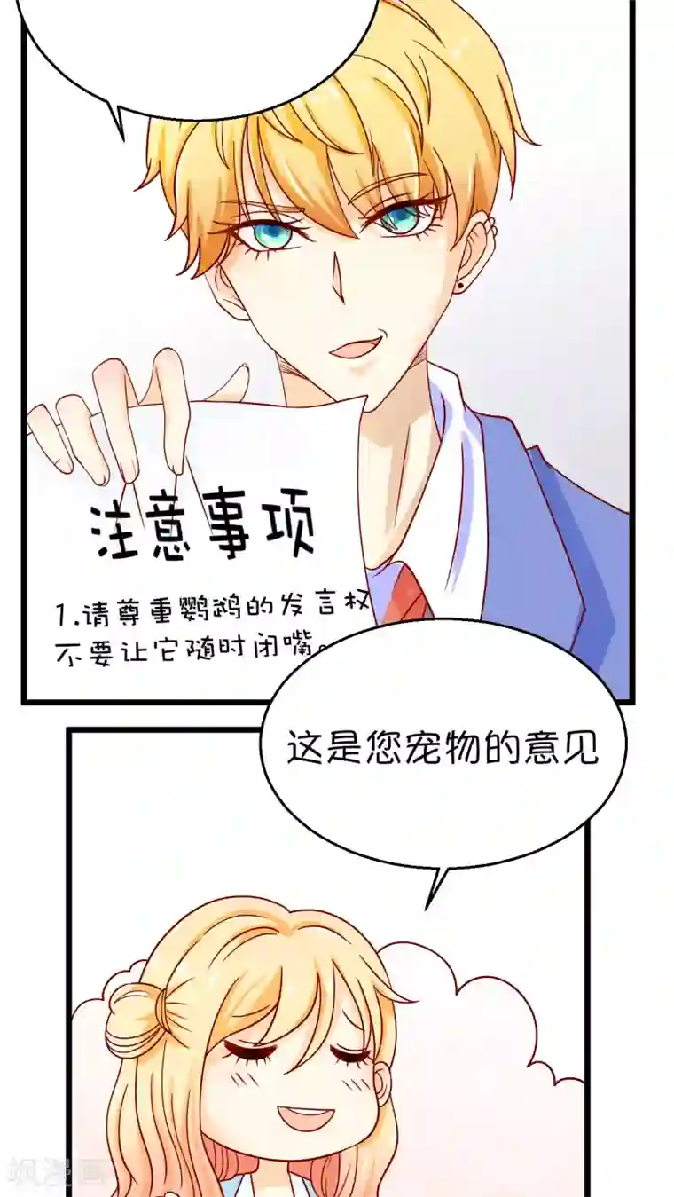 铲屎官也要谈恋爱第1话