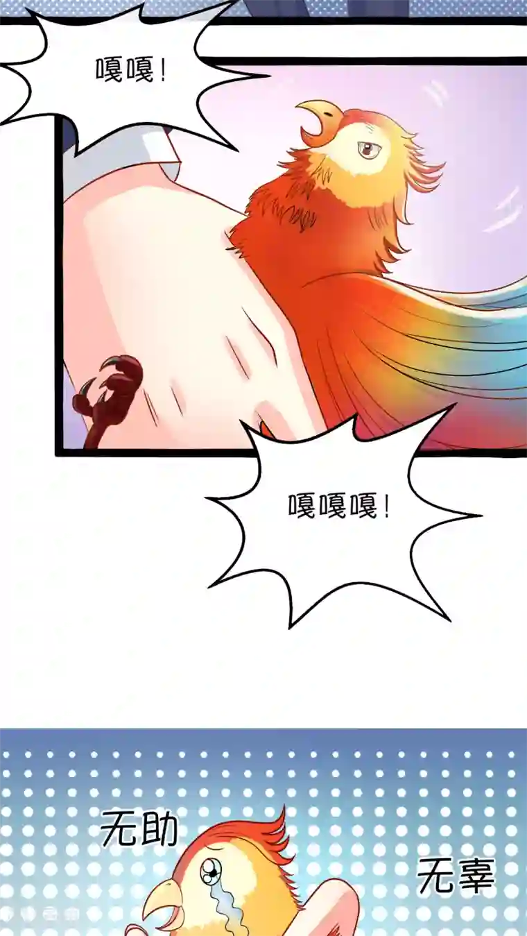 铲屎官也要谈恋爱第1话