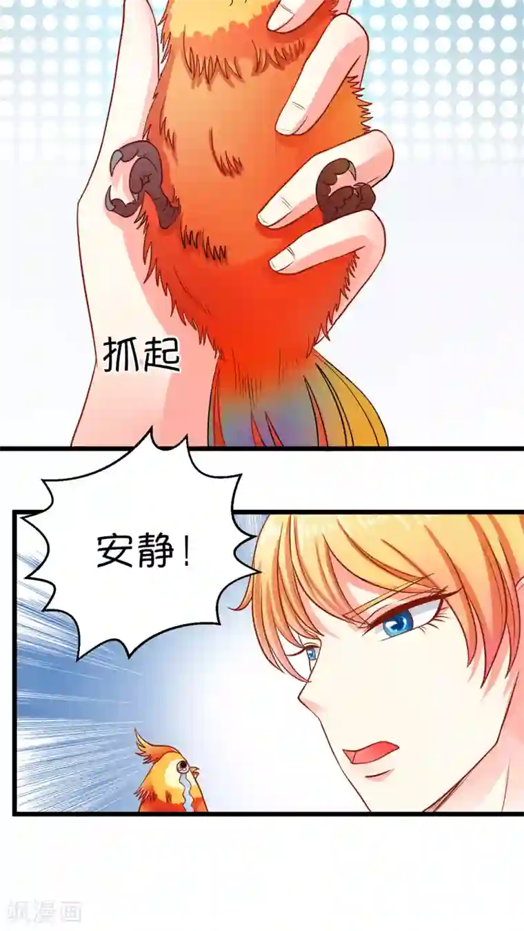 铲屎官也要谈恋爱第1话