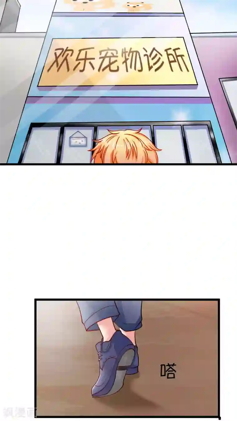 铲屎官也要谈恋爱第1话