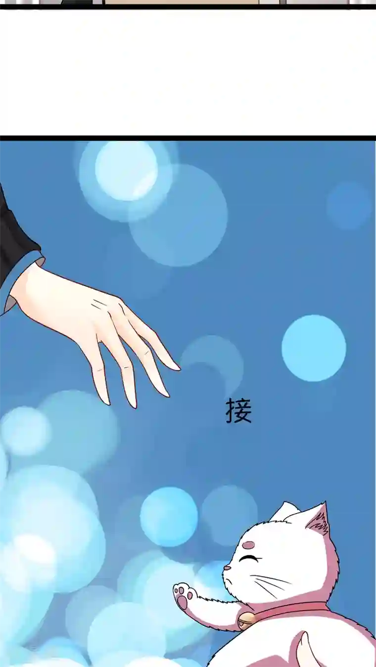 铲屎官也要谈恋爱第2话