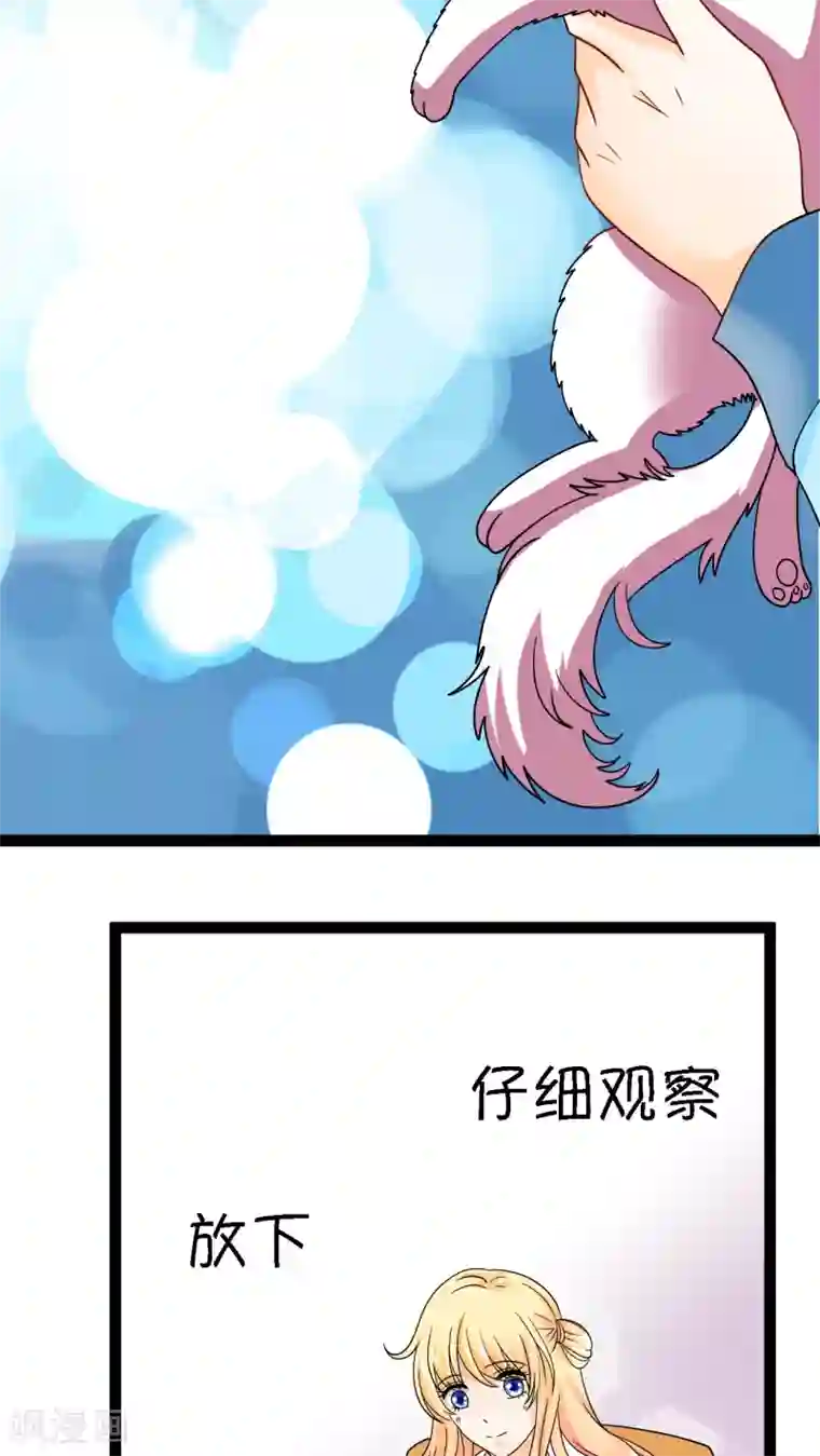 铲屎官也要谈恋爱第2话