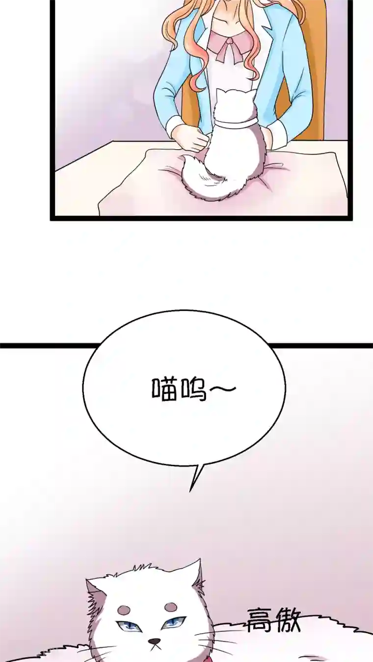 铲屎官也要谈恋爱第2话