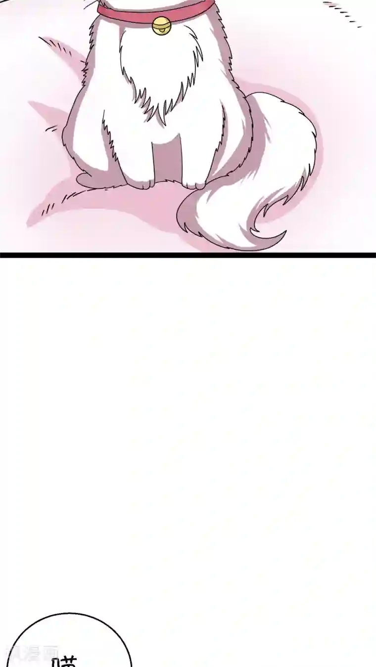 铲屎官也要谈恋爱第2话