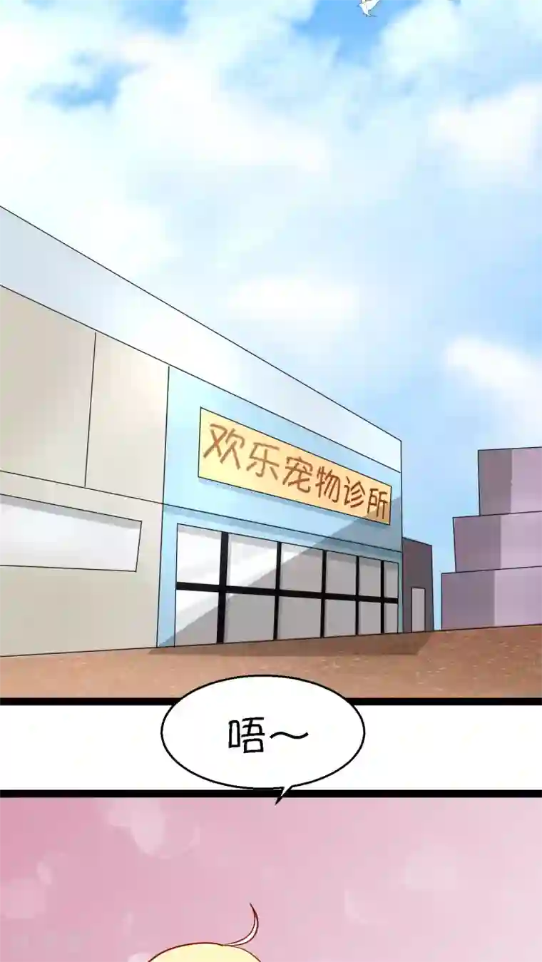 铲屎官也要谈恋爱第2话