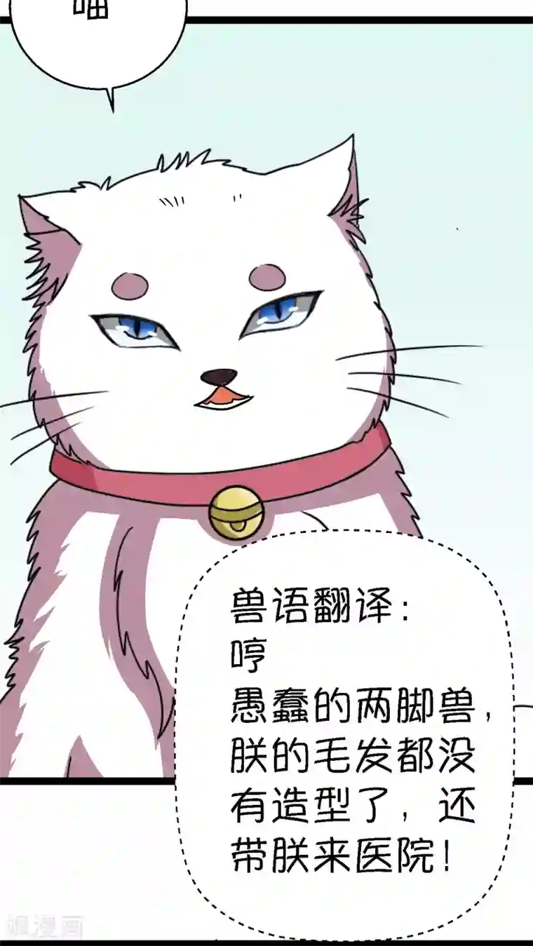 铲屎官也要谈恋爱第2话