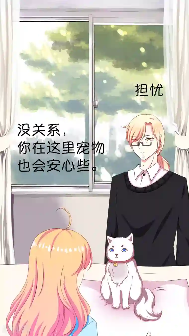 铲屎官也要谈恋爱第2话