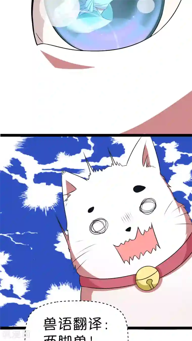 铲屎官也要谈恋爱第2话