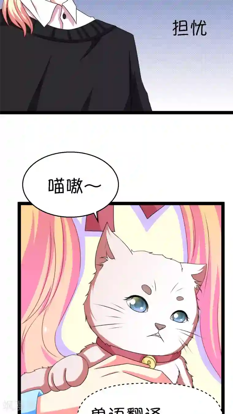 铲屎官也要谈恋爱第2话