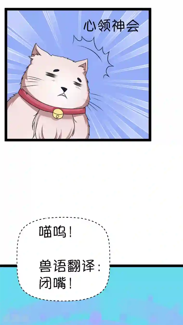 铲屎官也要谈恋爱第2话