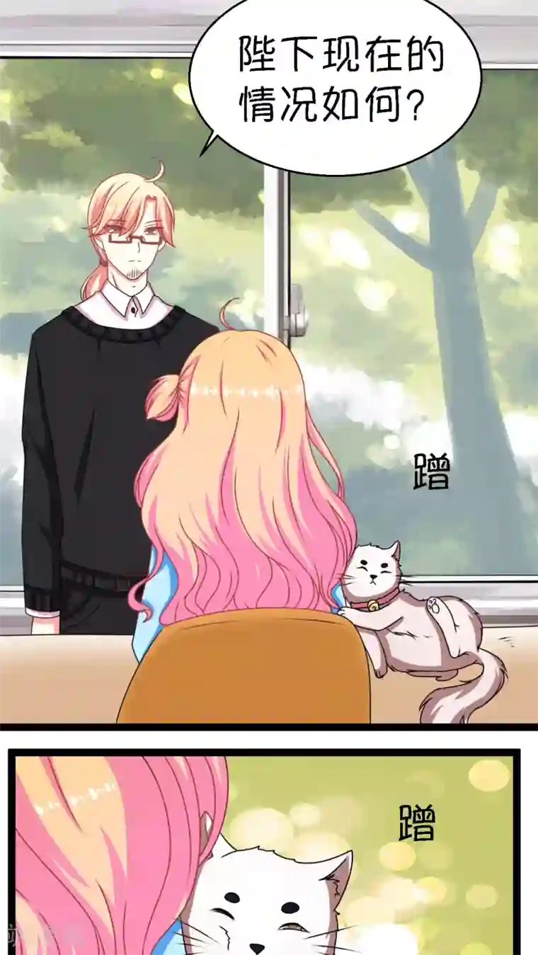 铲屎官也要谈恋爱第2话