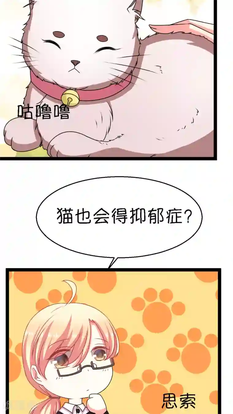 铲屎官也要谈恋爱第2话