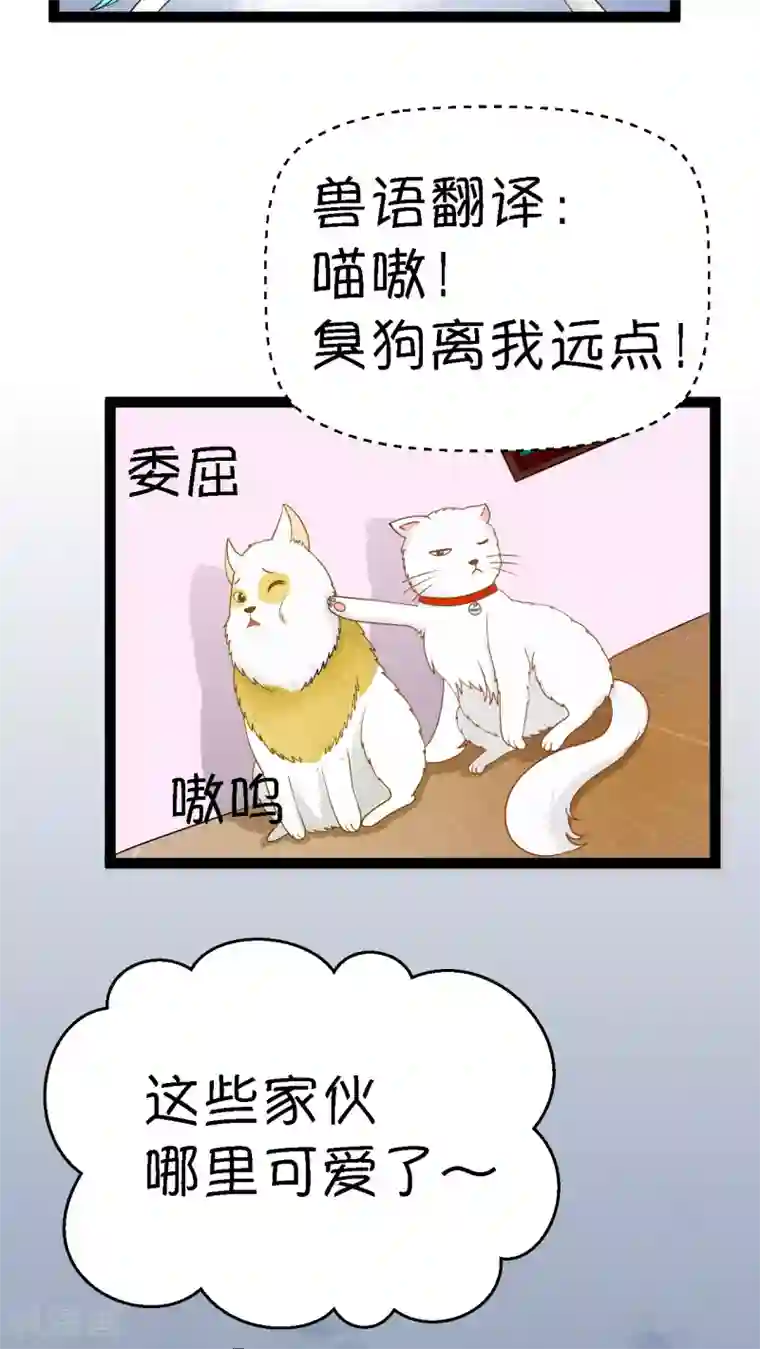 铲屎官也要谈恋爱第2话