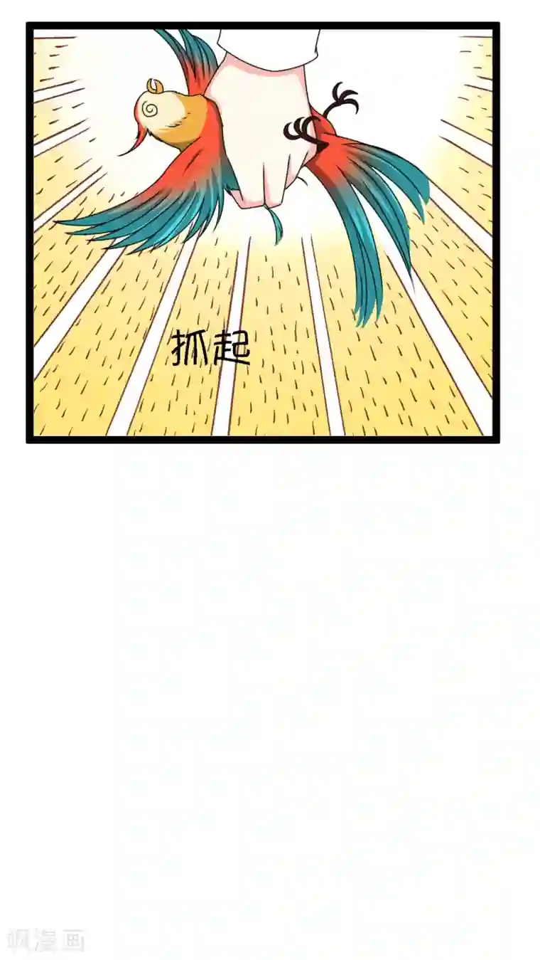 铲屎官也要谈恋爱第2话