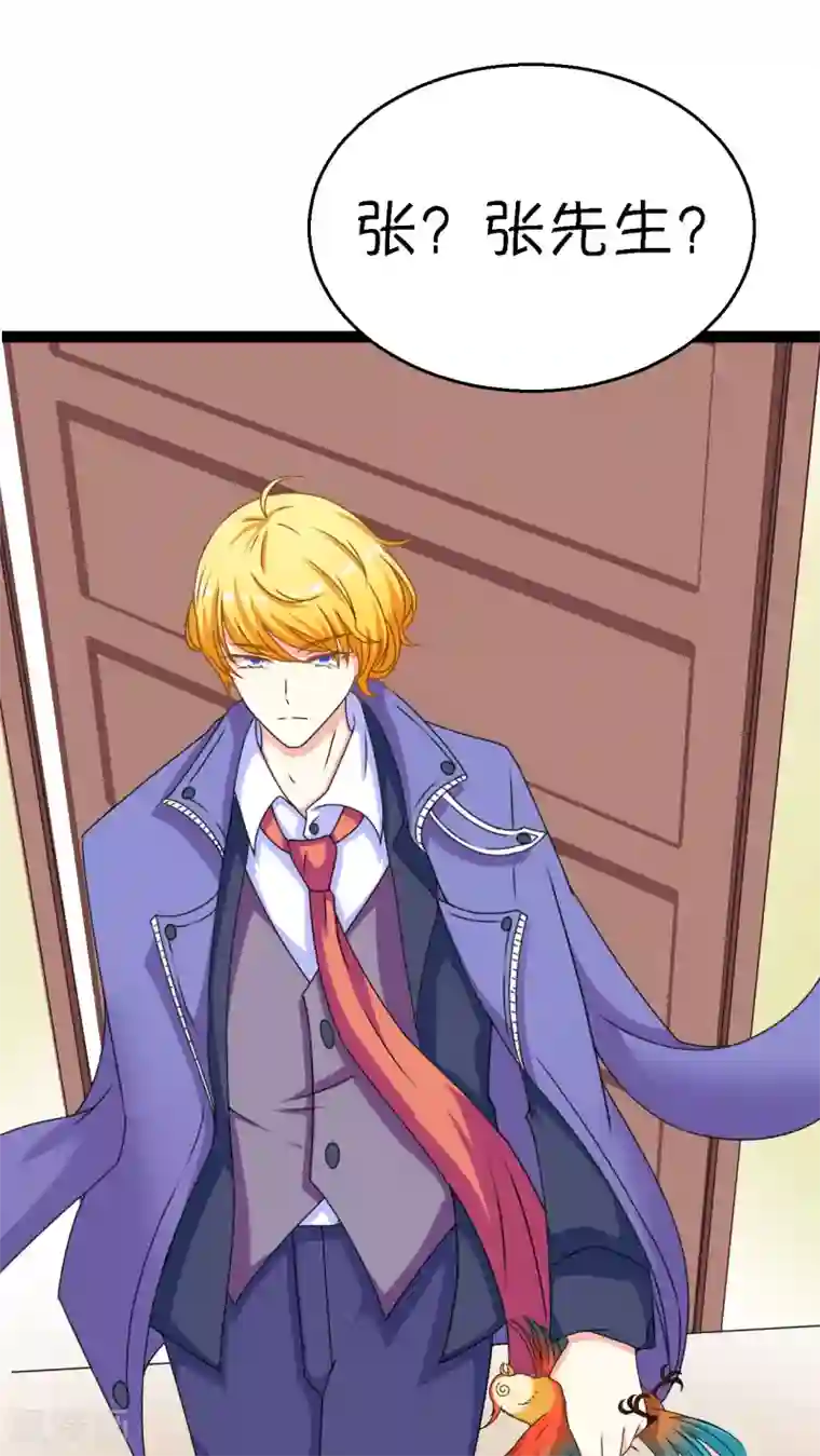 铲屎官也要谈恋爱第2话