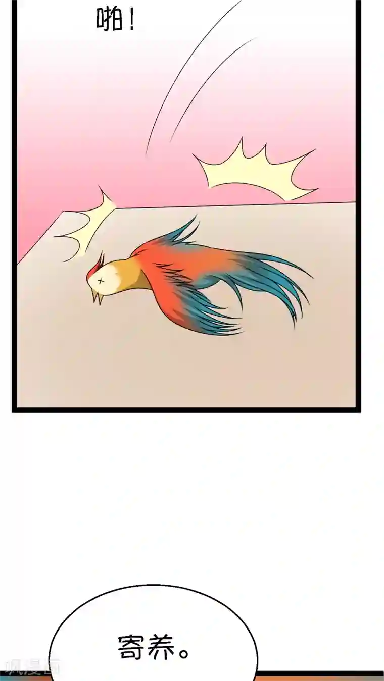 铲屎官也要谈恋爱第2话