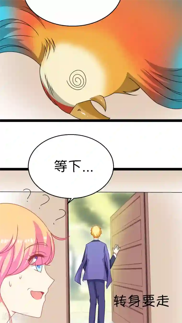 铲屎官也要谈恋爱第2话