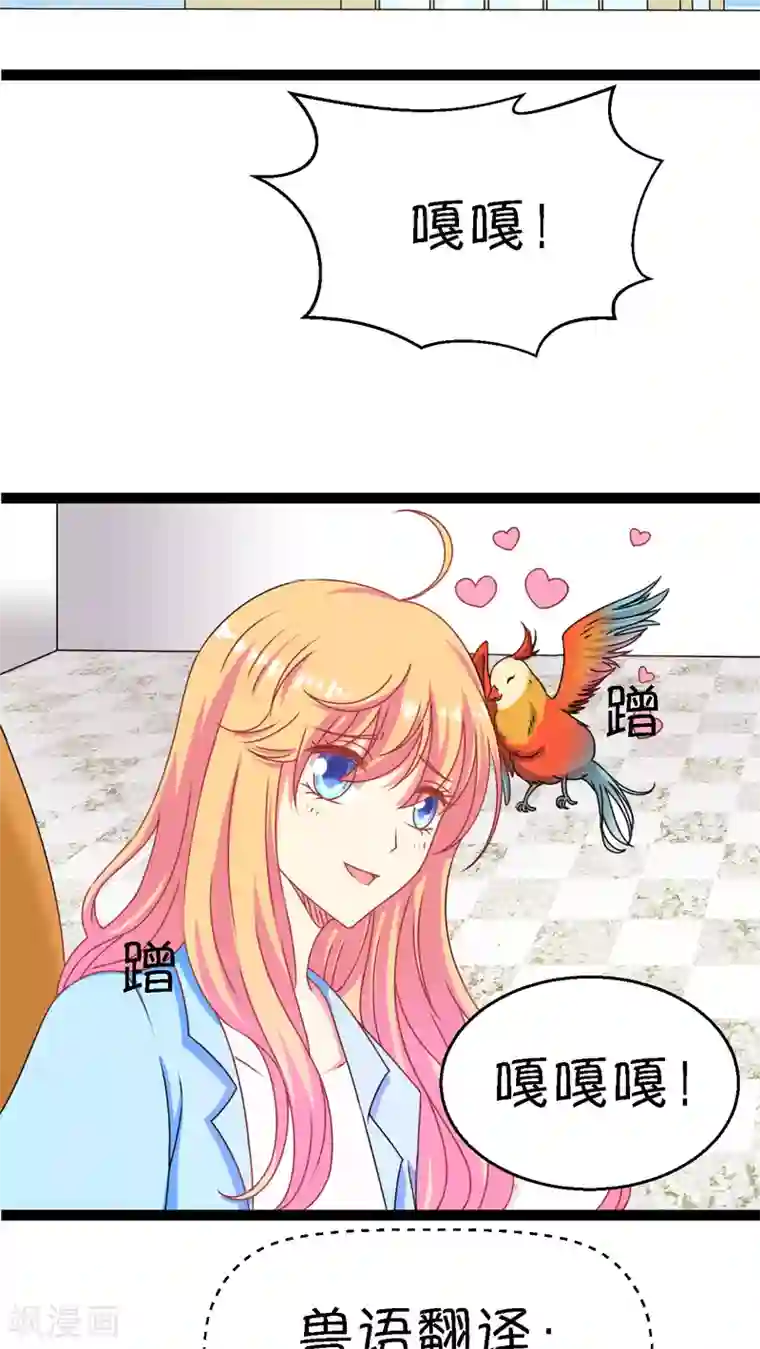 铲屎官也要谈恋爱第3话