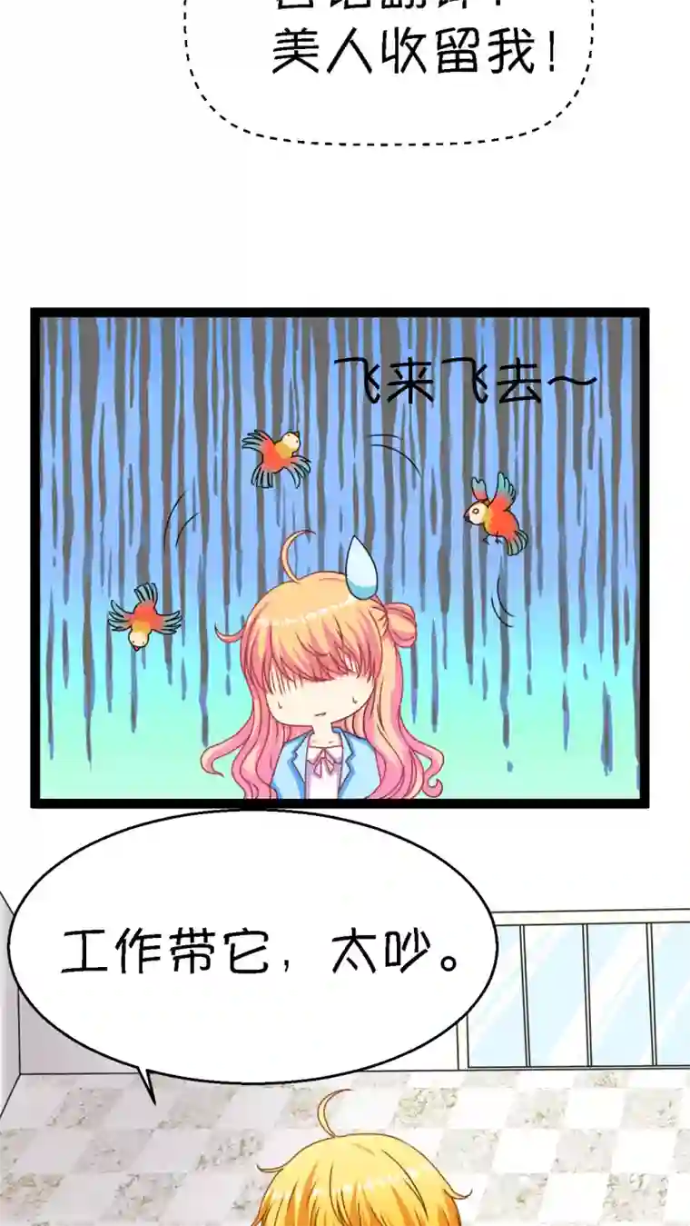 铲屎官也要谈恋爱第3话