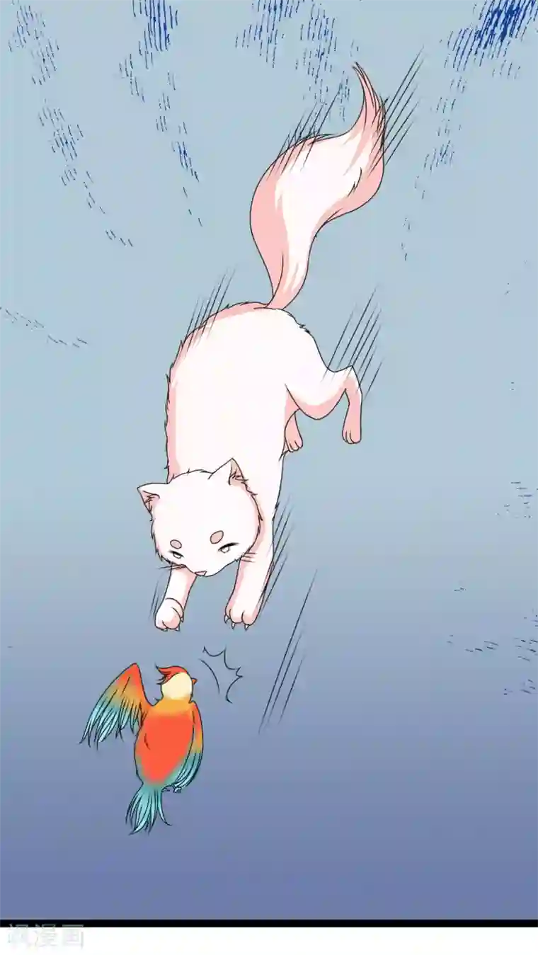 铲屎官也要谈恋爱第3话