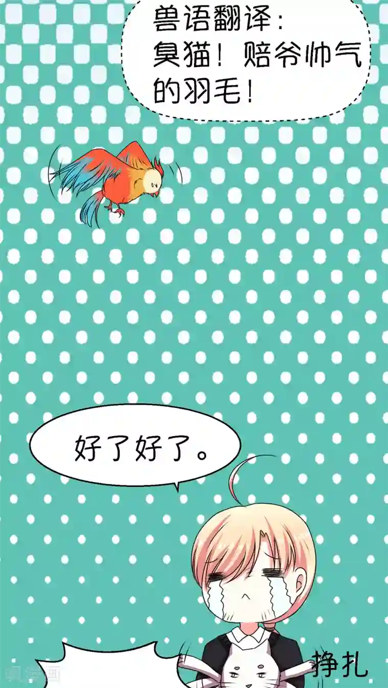 铲屎官也要谈恋爱第3话