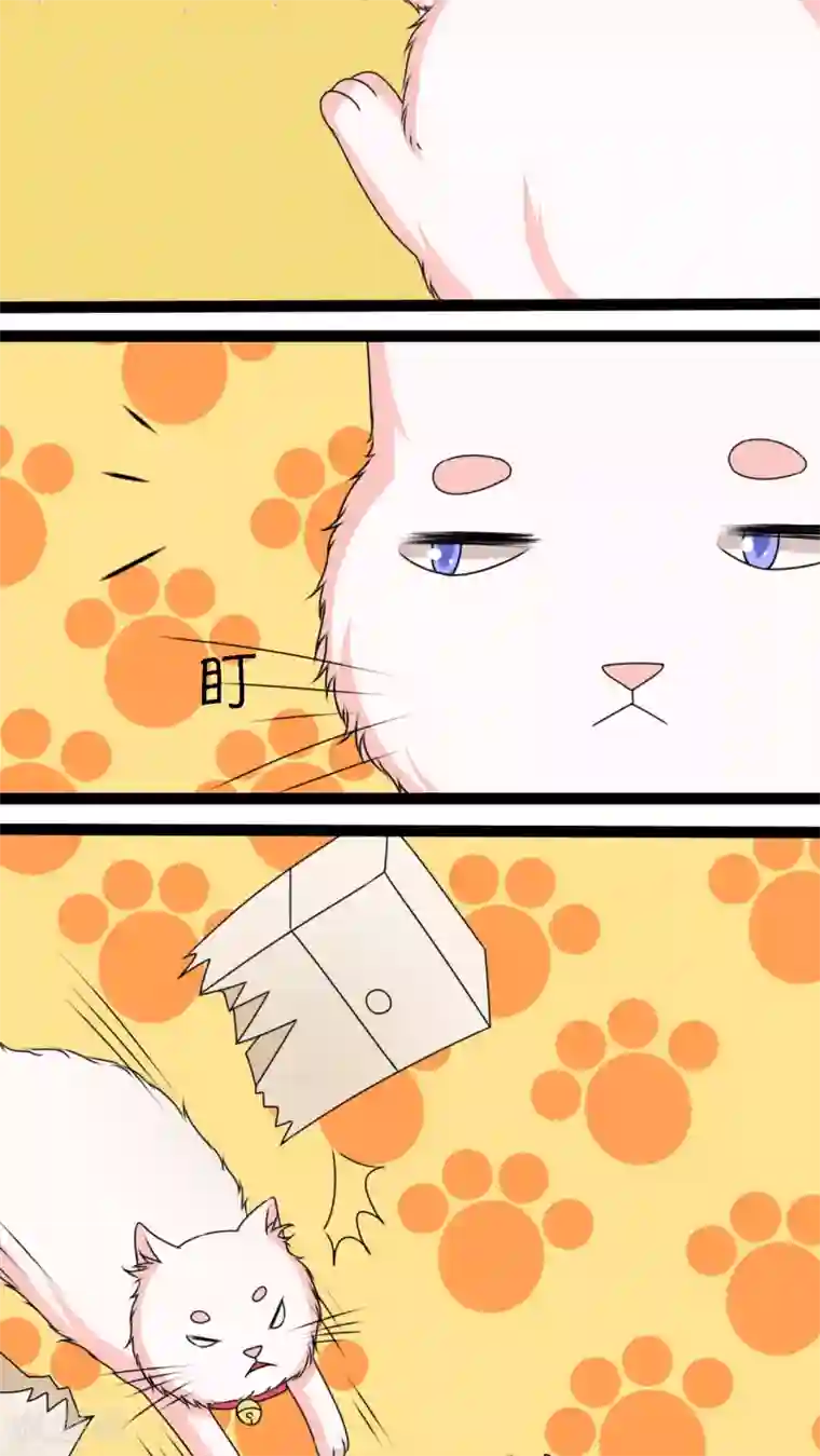 铲屎官也要谈恋爱第3话