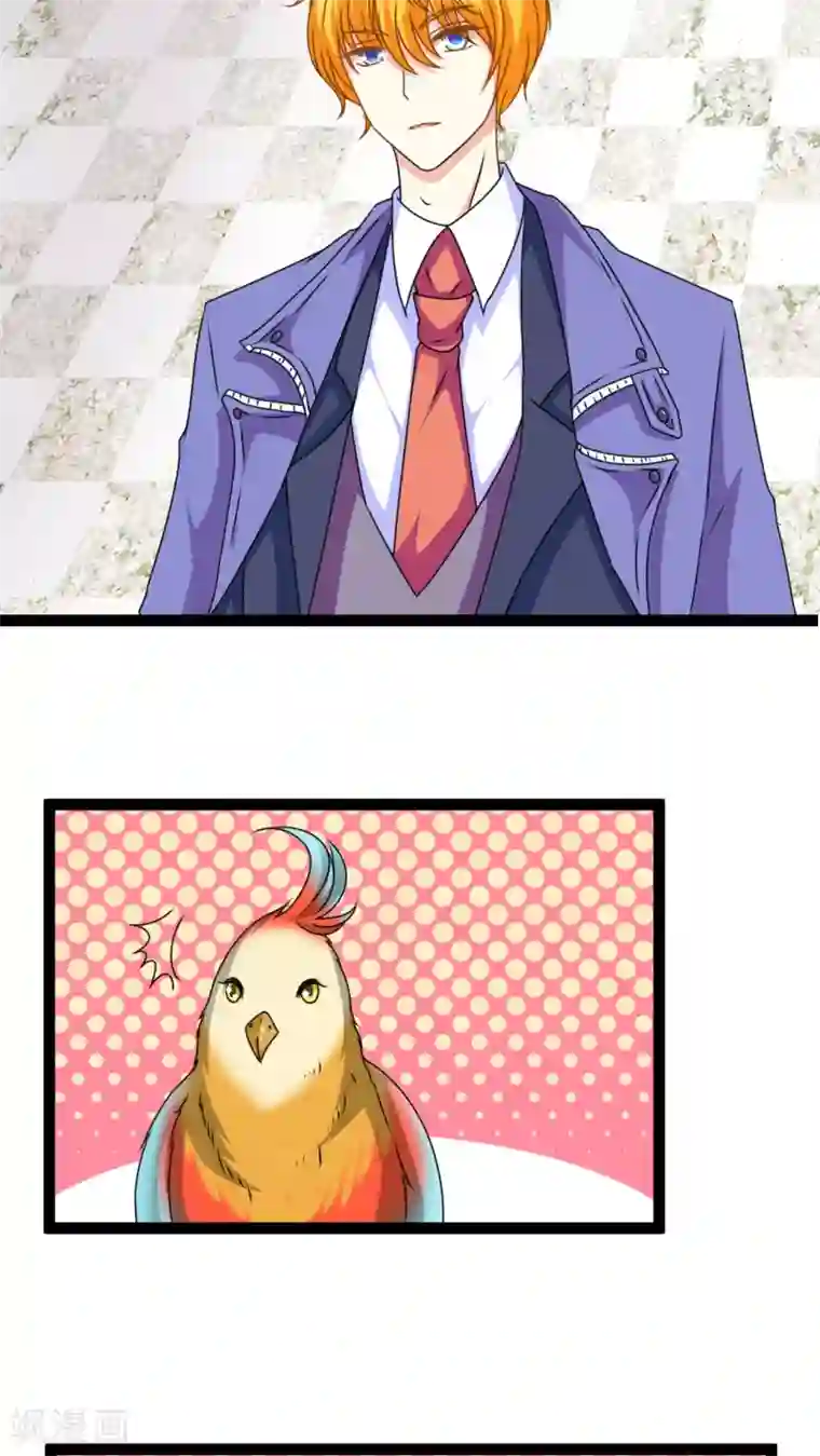 铲屎官也要谈恋爱第3话