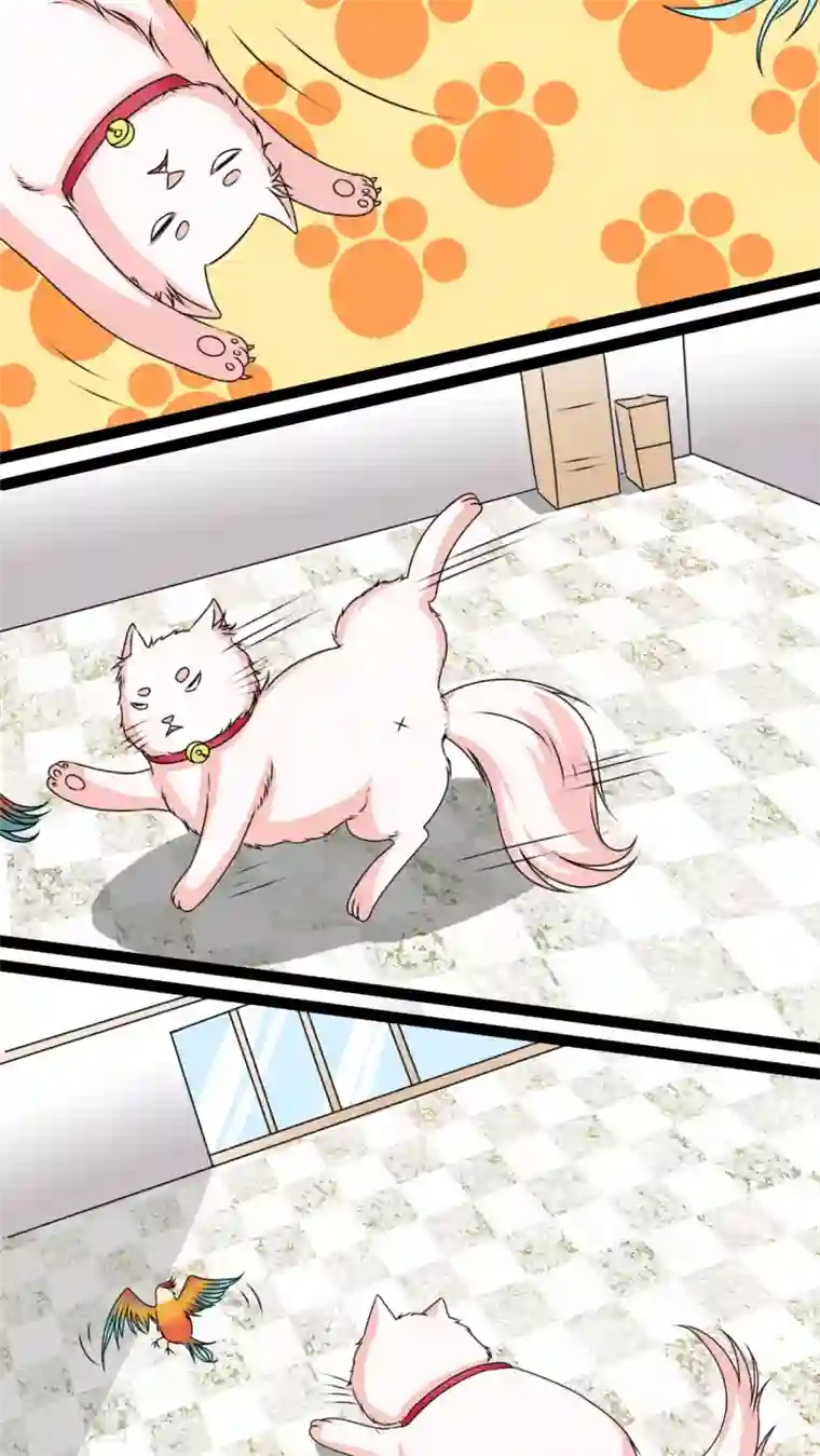 铲屎官也要谈恋爱第3话