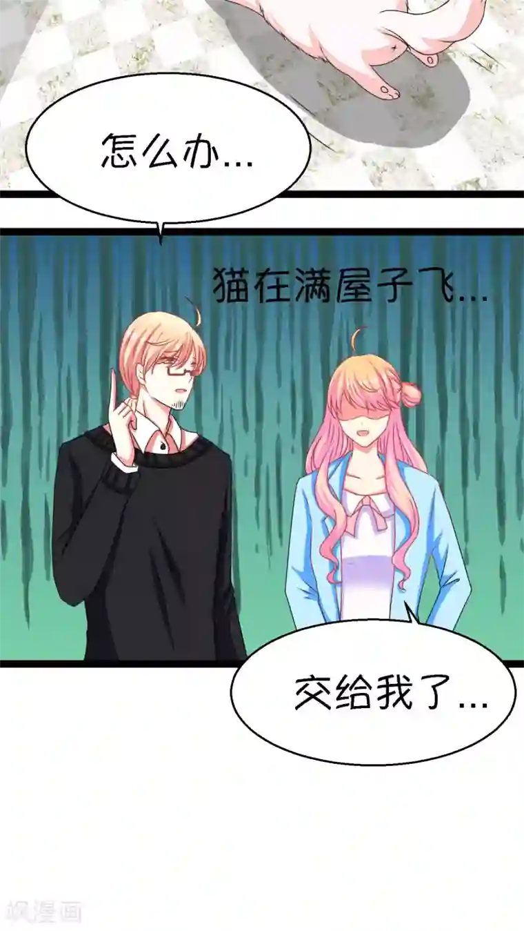 铲屎官也要谈恋爱第3话