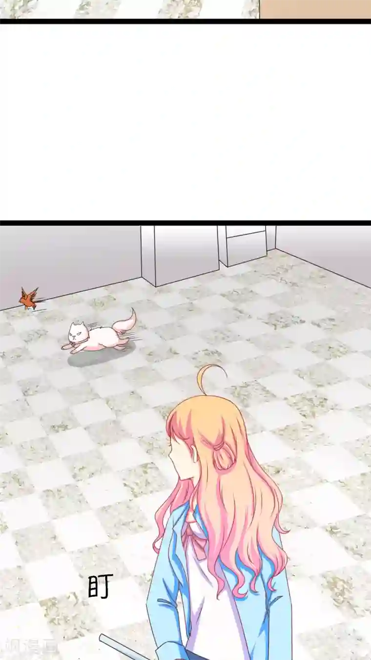 铲屎官也要谈恋爱第3话