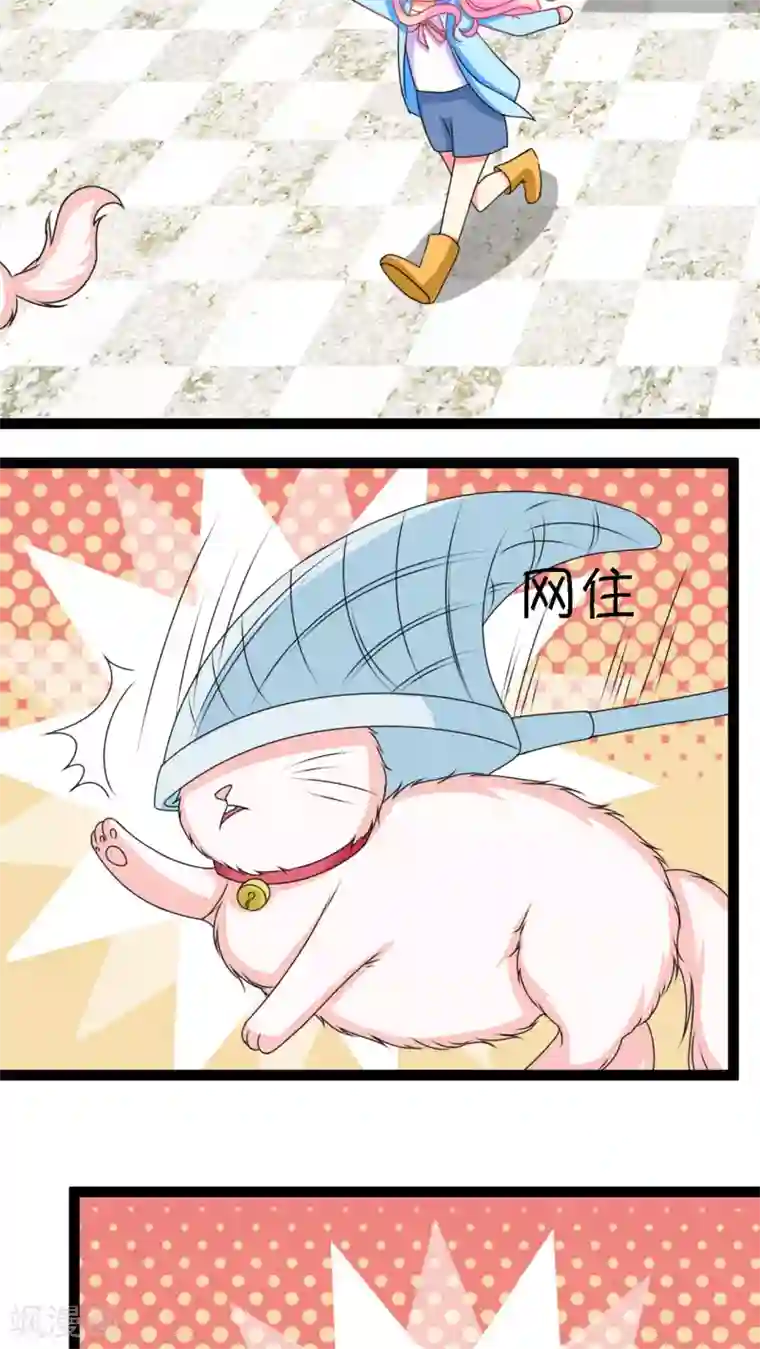 铲屎官也要谈恋爱第3话