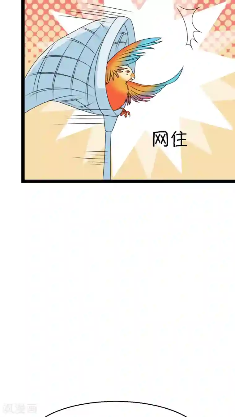 铲屎官也要谈恋爱第3话