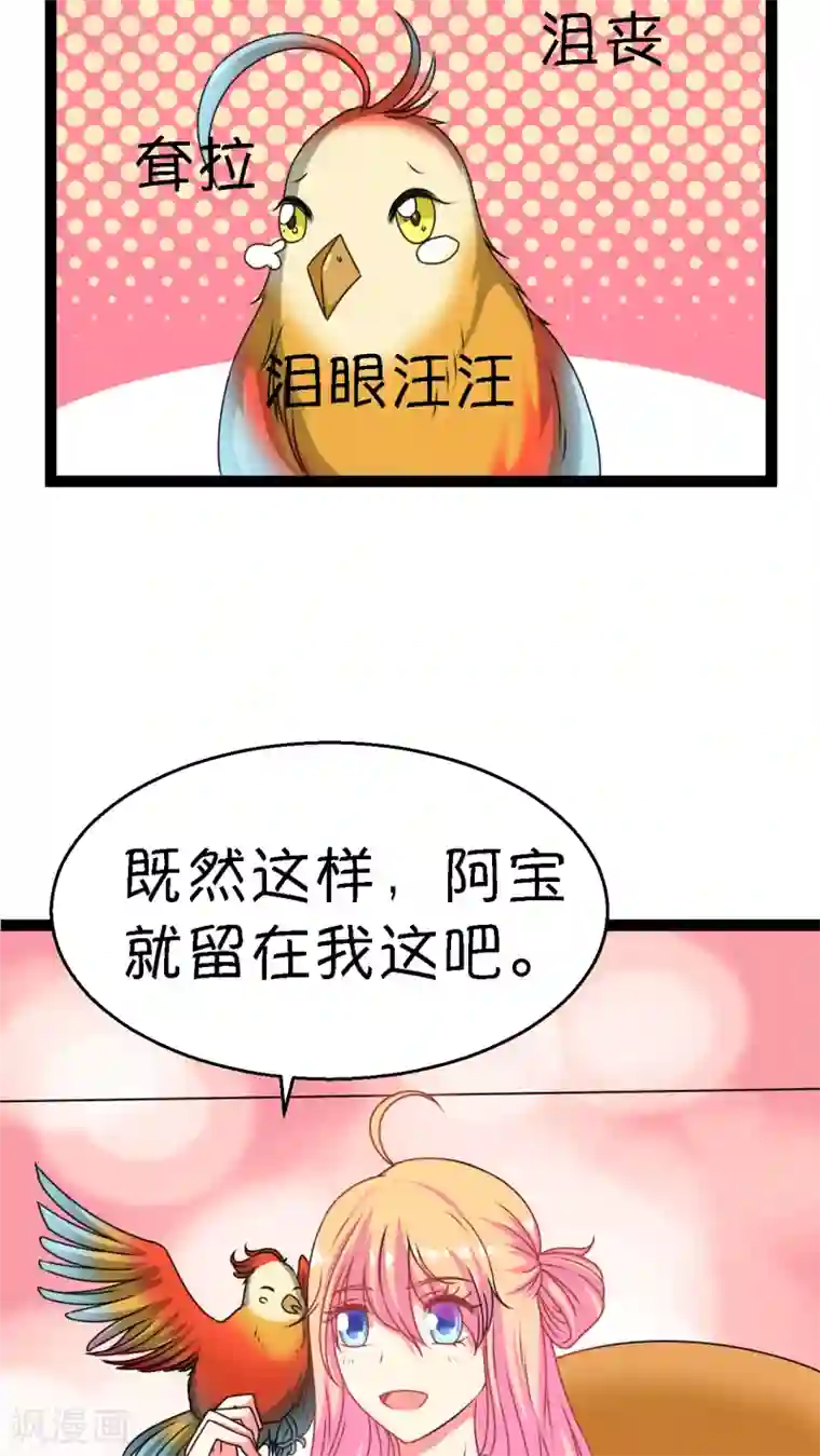 铲屎官也要谈恋爱第3话