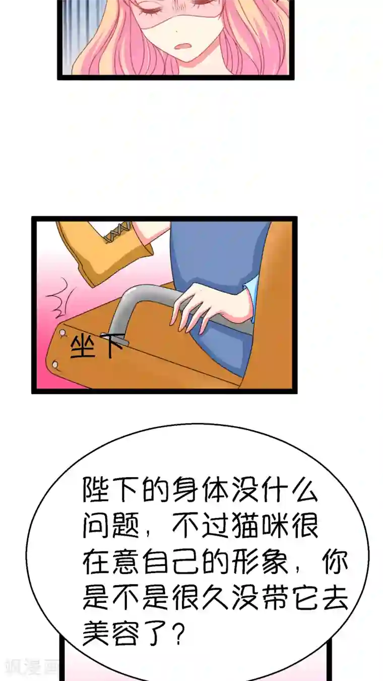 铲屎官也要谈恋爱第3话