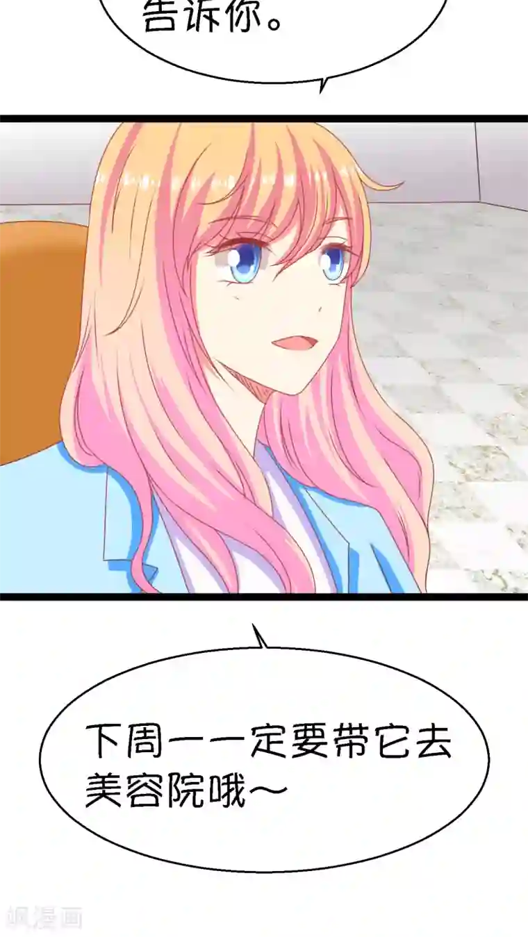 铲屎官也要谈恋爱第3话