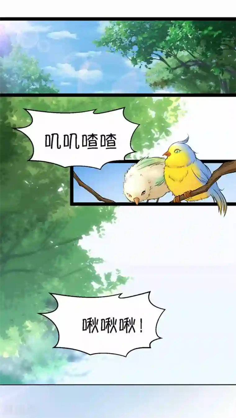 铲屎官也要谈恋爱第4话